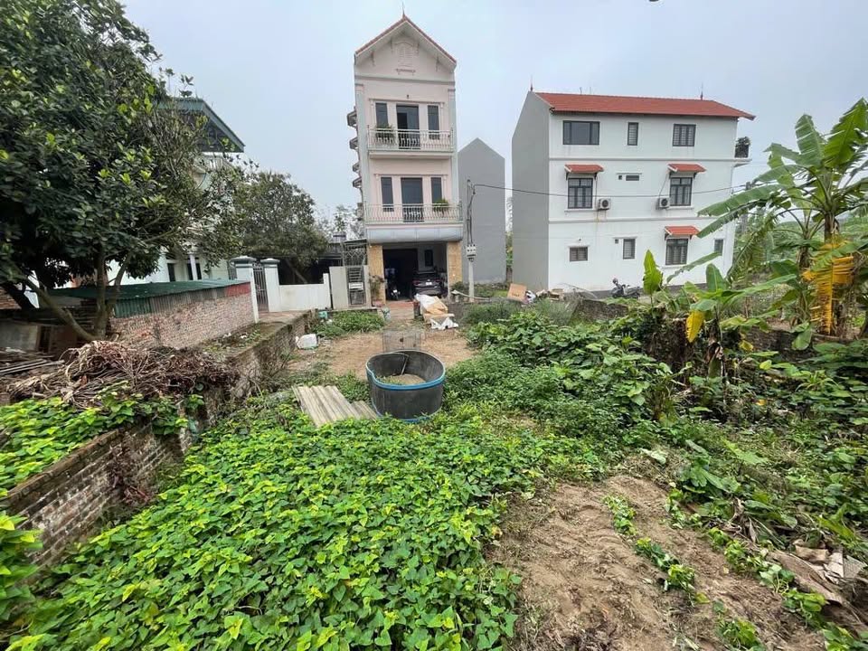 Đất Nền Đấu Giá Kim Sơn, Gia Lâm 79m² giá 5 tỷ - Cơ hội đầu tư hiếm có!