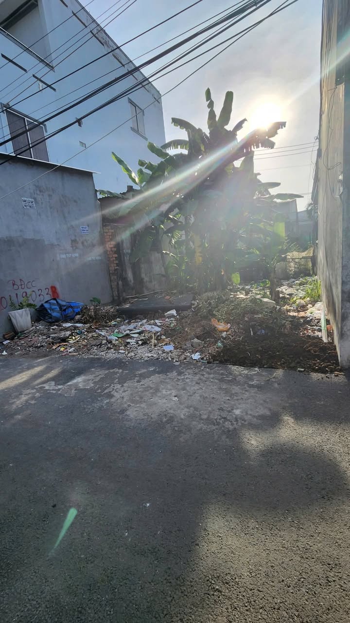 Đất nền Long Trường 56m² giá chỉ 3.4 tỷ - Giảm ngay 300 triệu trước Tết!