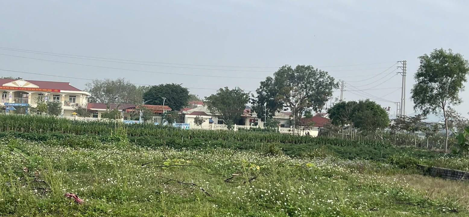 Đất liền kề Liên Lộc, Thanh Hóa 540m² - Tiềm năng đầu tư sinh lời vượt trội!