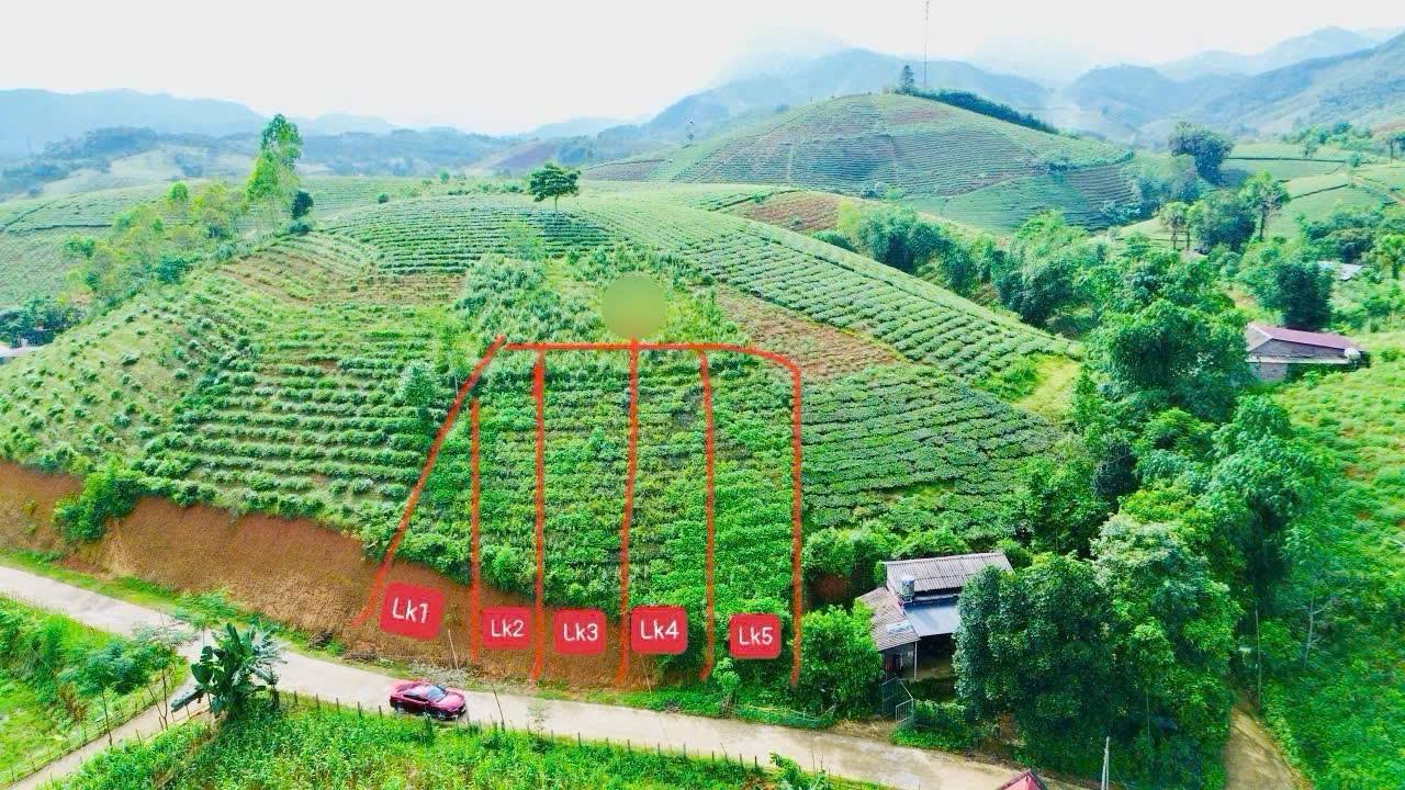 Bán đất thổ cư tại Mỹ Thuận, Tân Sơn, Phú Thọ - Giá chỉ từ 100 triệu!