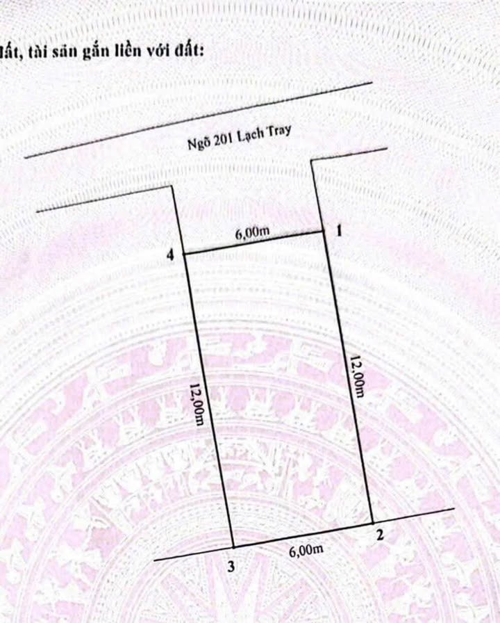 Bán đất ngõ 201 Lạch Tray, Hải Phòng 90m² - Sổ đỏ chính chủ, ô tô vào tận nhà!
