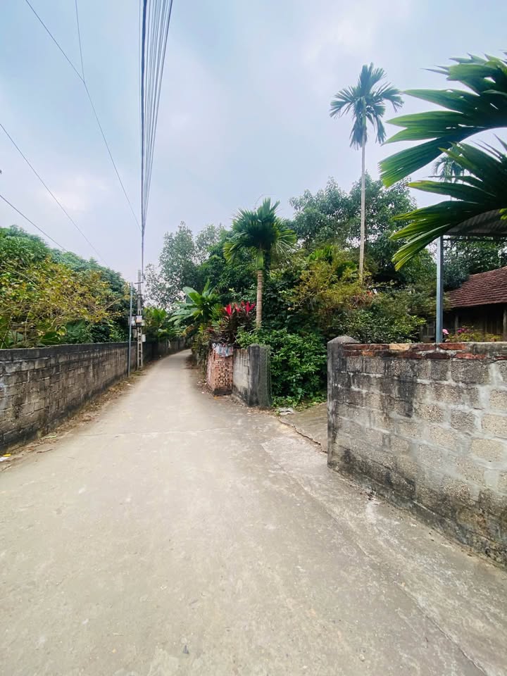 Đất thổ cư Kim Phú Tuyên Quang 130m² giá 900 triệu - Đầu tư sinh lời ngay!