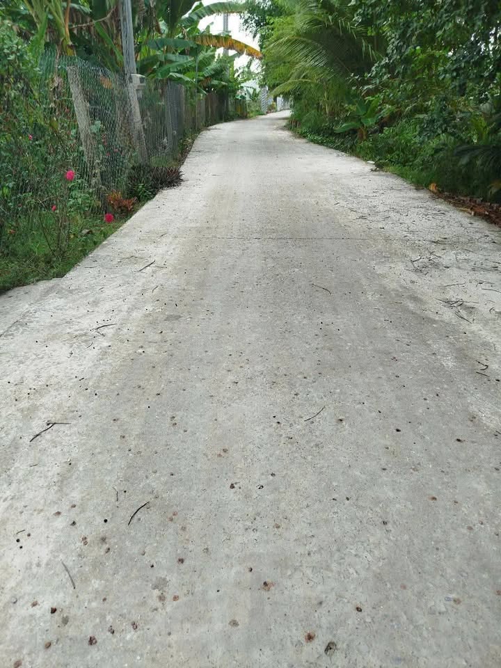 Nhà cấp 4 Phú Thứ Cái Răng 251m² giá 1.8 tỷ - Phù hợp cho gia đình lớn!