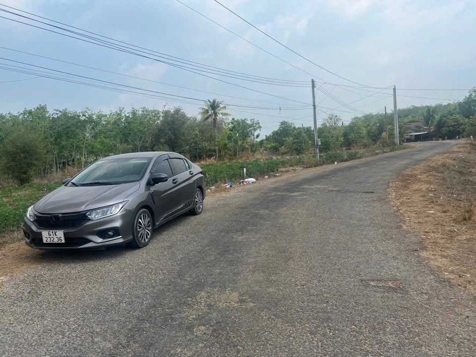 Đất mặt tiền nhựa Định An, Dầu Tiếng 520m² giá 450 triệu - Cơ hội đầu tư sinh lời!