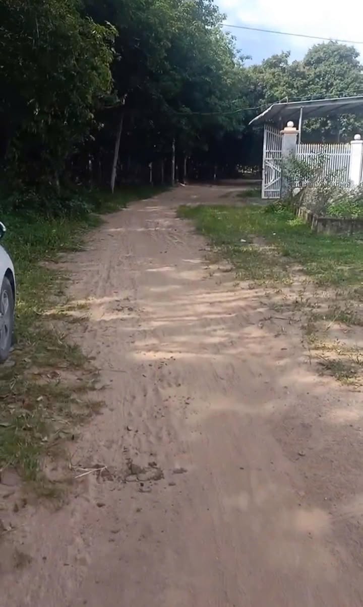 Đất thổ cư Thanh An, Dầu Tiếng 2500m² giá 1 tỷ - Tiềm năng đầu tư lớn!