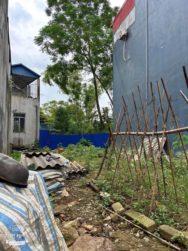 Lô đất đẹp 116,7m² tại Quán Triều giá 1 tỷ - Đầu tư sinh lời ngay!