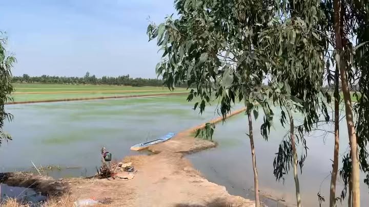 Đất nền 3,2 mẫu tại xã Kiến Bình, Tân Thạnh, Long An - Giá 2.3 tỷ, cơ hội đầu tư tuyệt vời!