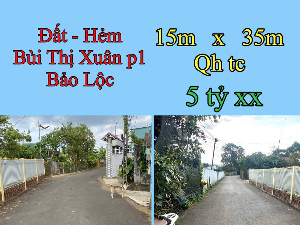 Đất Bùi Thị Xuân, Bảo Lộc 525m² giá 5 tỷ - Sổ đỏ chính chủ, đầu tư tuyệt vời!