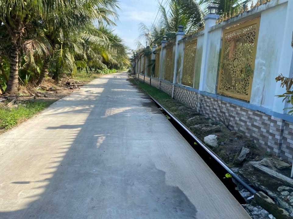 Đất nông nghiệp ấp Điền Mỹ, Chợ Gạo 5600m² giá 9.5 tỷ - Tiềm năng đầu tư cao!