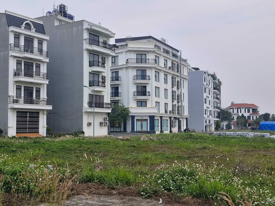 Đất biệt thự Khu C - Nam Đầm Vạc 263m² giá 8.006 tỷ - Cơ hội đầu tư hiếm có!