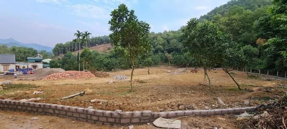 Đất nền Hòa Lạc 1112m² giá 8.134 tỷ - Đầu tư sinh lời ngay!