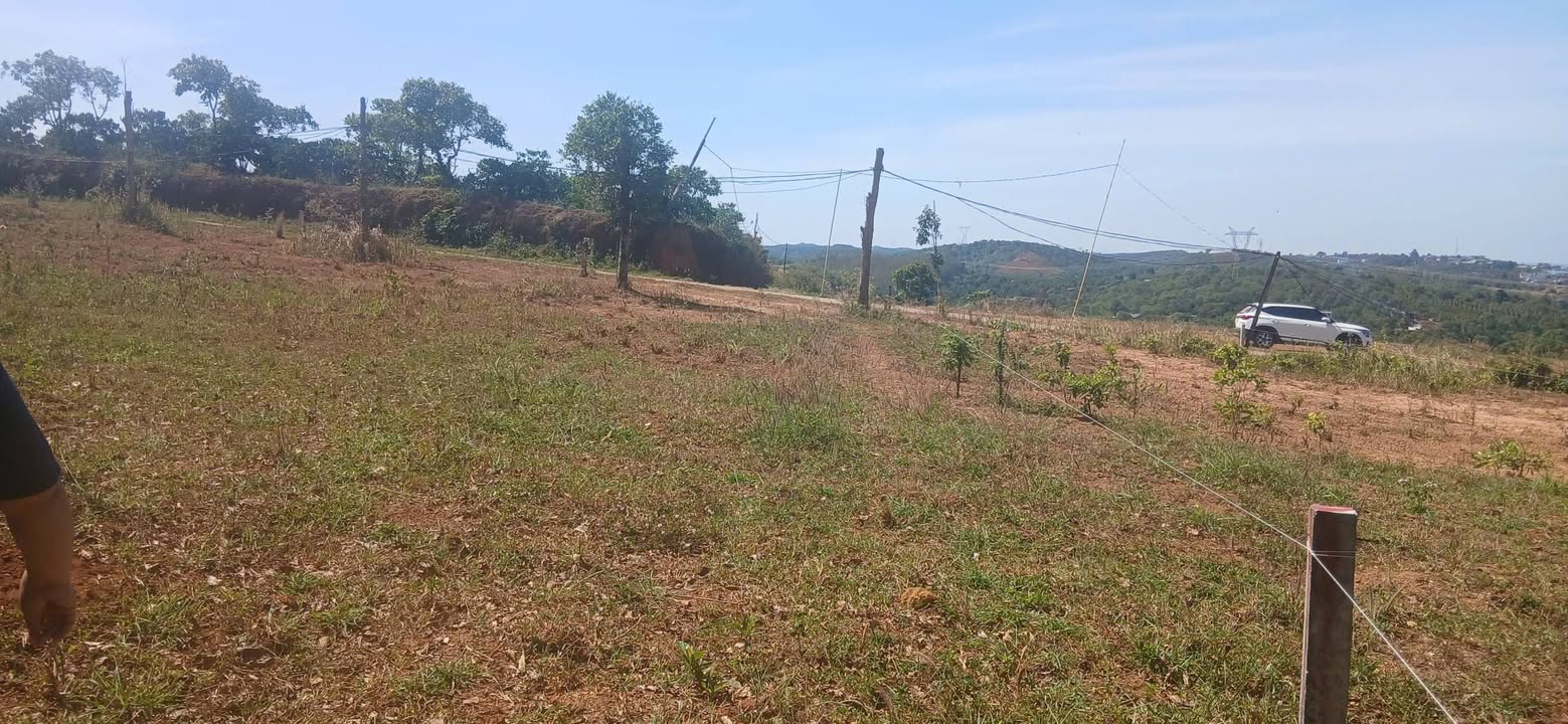 Lô đất nền 1000m² tại Thôn 3, Xã Quảng Tín - Giảm giá chỉ còn 340 triệu!