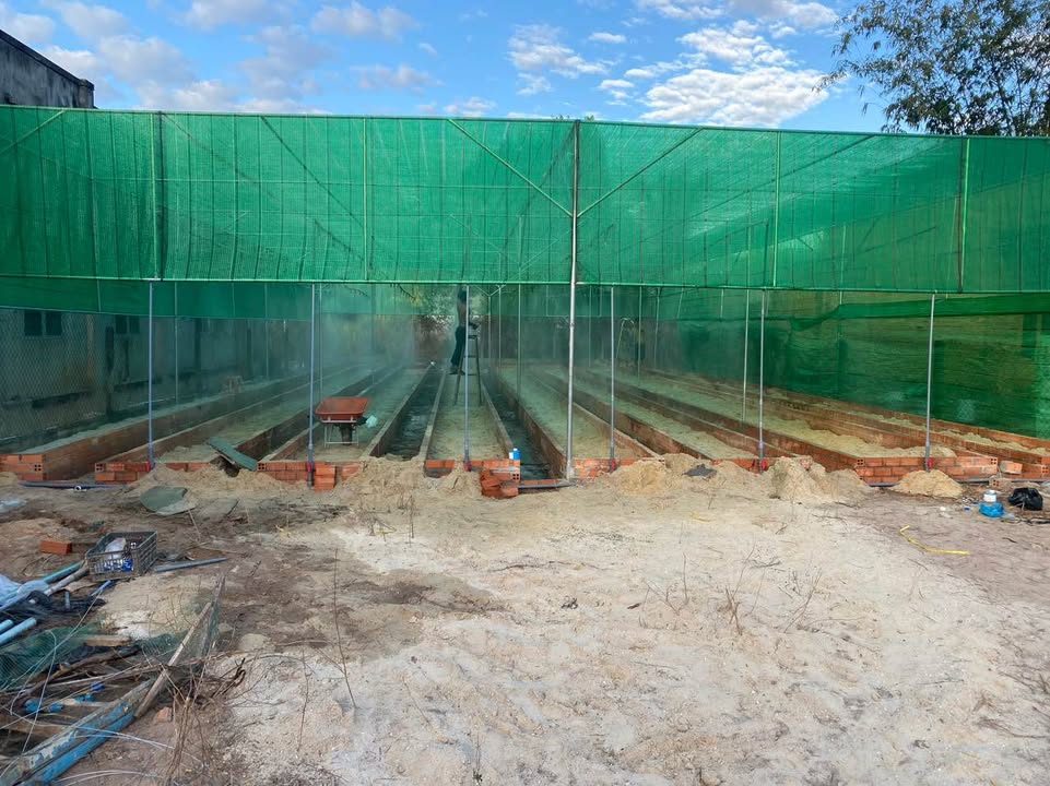 Đất thổ cư Cầu Khởi Dương Minh Châu 432m² giá 5.4 tỷ - Sẵn sàng ra đi!