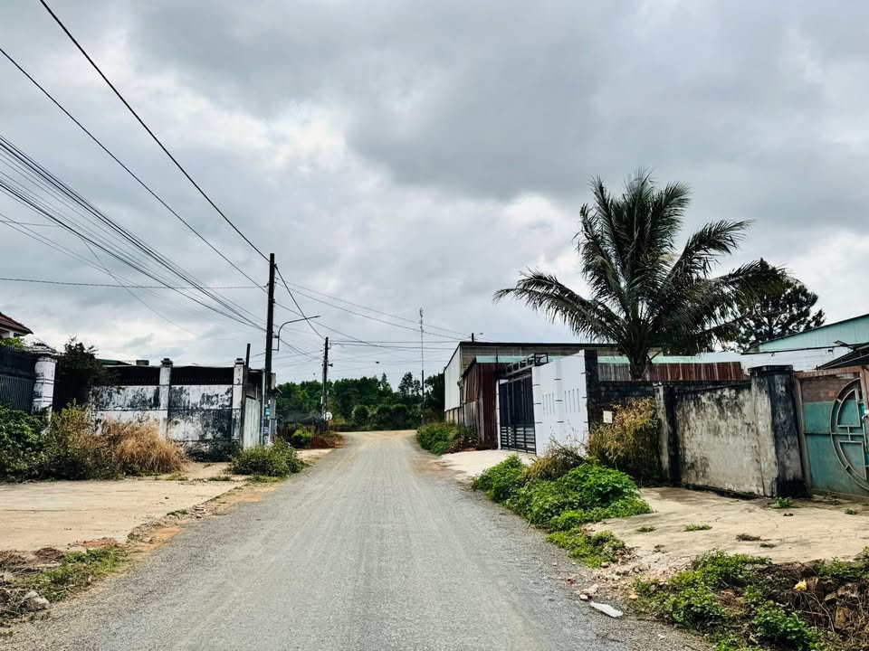 Nhà cấp 4 Hẻm Hoàng Sa, Phường Diên Hồng, 247m² - Giá chỉ 1.45 tỷ!