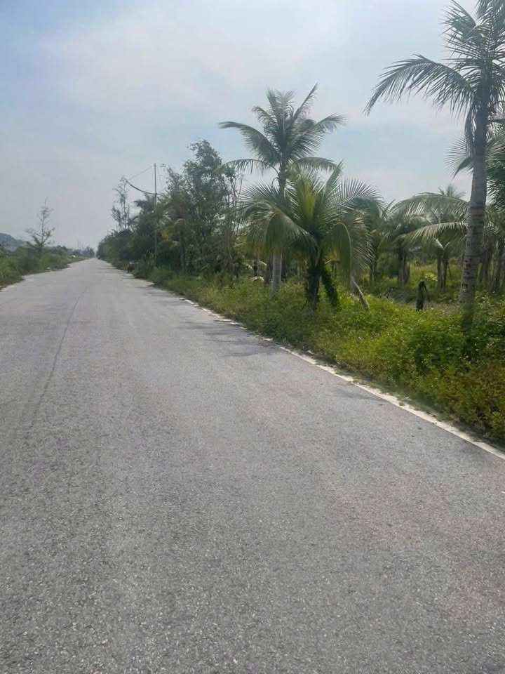 Đất nền Vân Đồn 1.600m² giá chỉ 1x triệu/m² - Đầu tư sinh lời vượt trội!