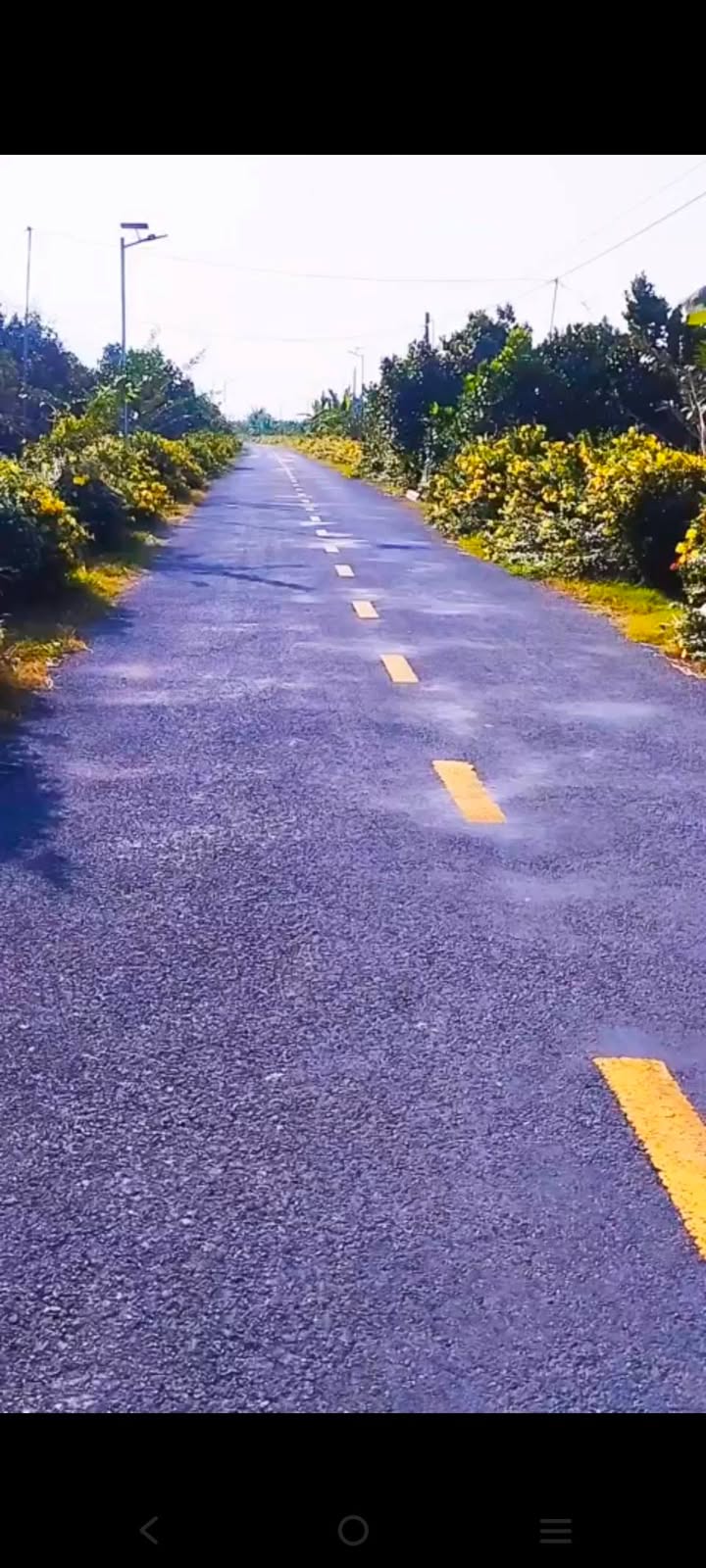 Đất vườn An Hiệp Châu Thành 1300m² giá 1.35 tỷ - Phù hợp xây nhà ở ngay!