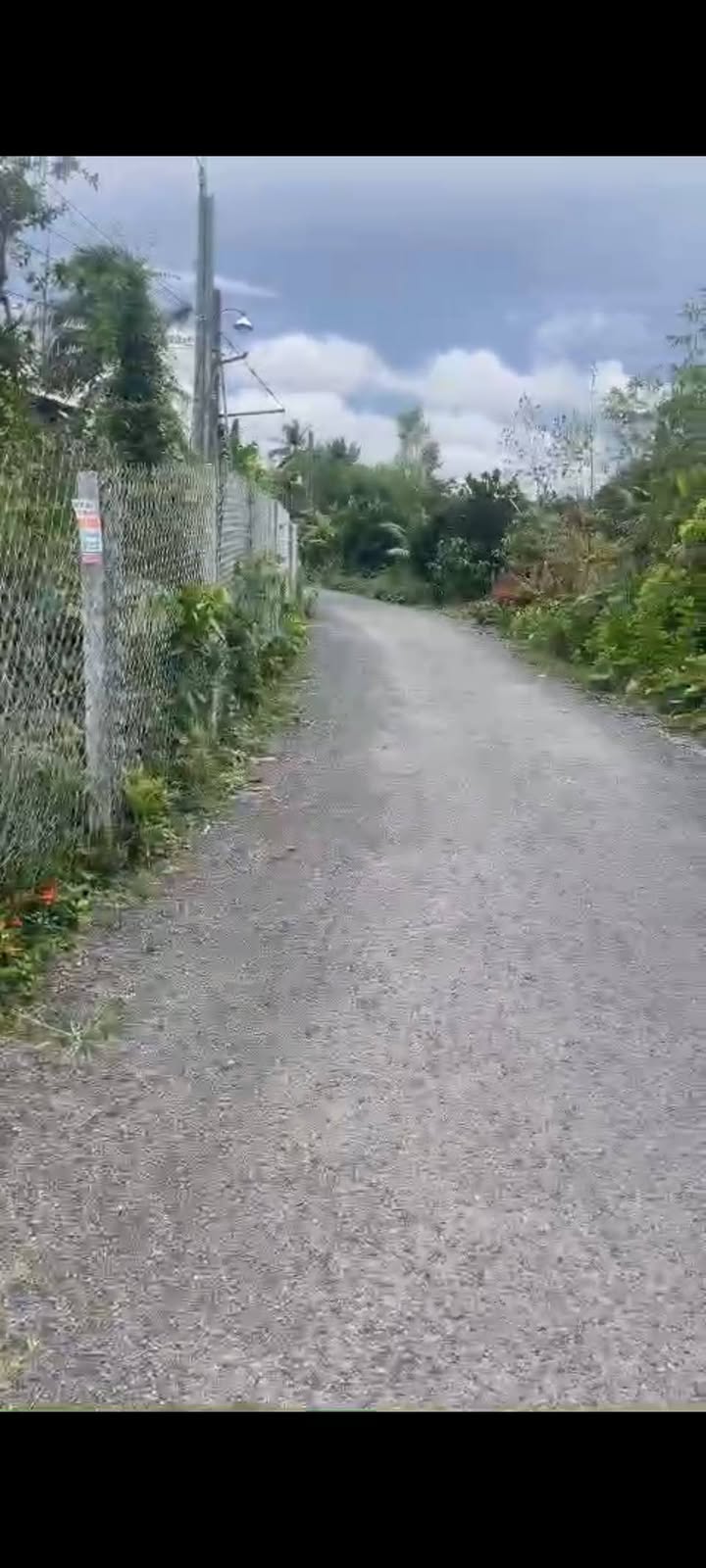 Đất ruộng Phú Nhuận Cai Lậy 9600m² giá 5 tỷ - Mặt tiền đường nhựa xe tải!