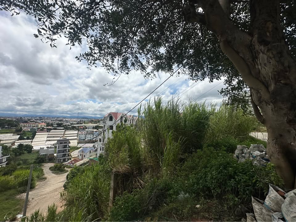 Đất nền Đà Lạt 213m² giá 9.9 tỷ - View đẹp, tiềm năng đầu tư cao!