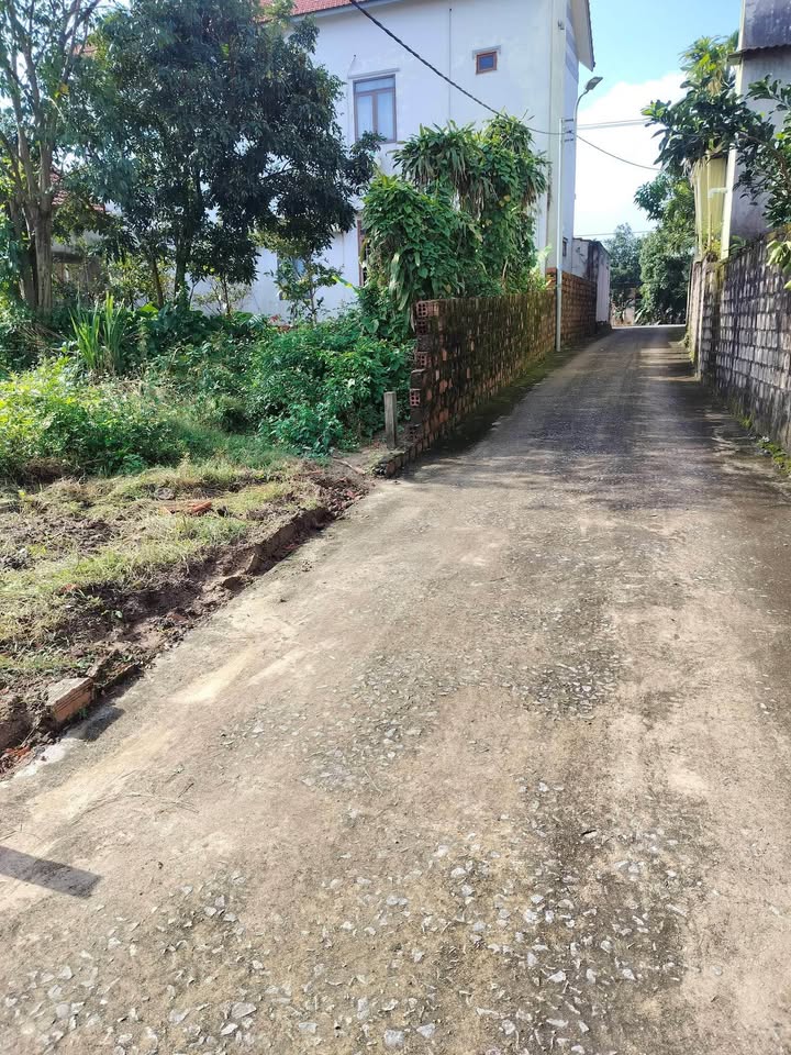 Đất nền Đức Ninh Đồng Hới 70m² giá thỏa thuận - Đất cao ráo, không lụt!