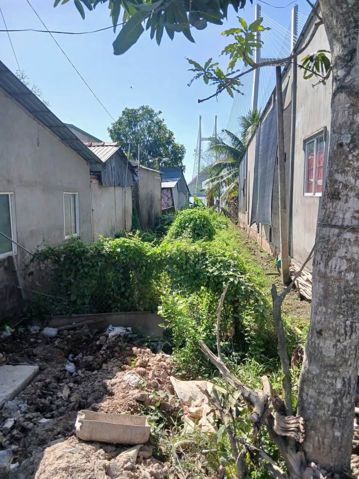 Đất nền Nguyễn Hương, Cao Lãnh 225m² giá 1.7 tỷ - Đầu tư sinh lời hấp dẫn!