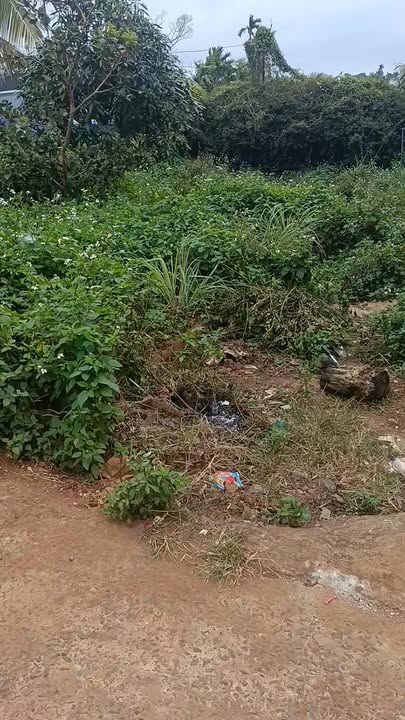 Đất nền đẹp tại hẻm Nguyễn An Ninh, An Lạc, Buôn Hồ 115m² giá chỉ 1.26 tỷ - Cơ hội đầu tư sinh lời!