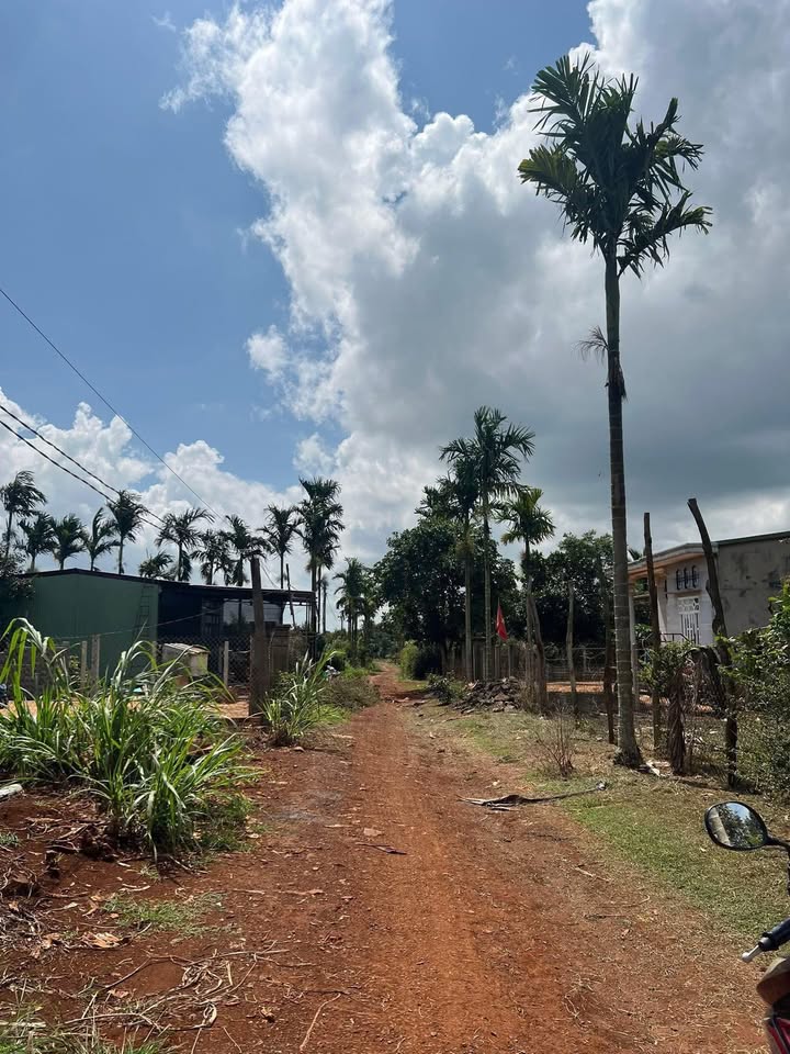 Đất nền Cư Bao, Buôn Hồ 150m² giá chỉ 255 triệu - Cần bán gấp!