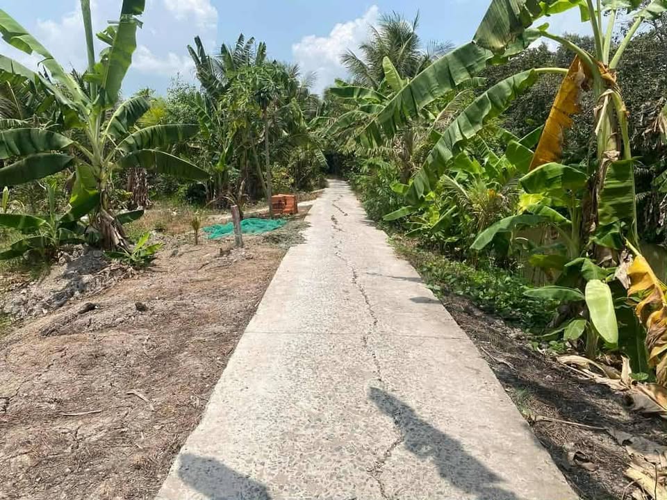 Cặp nền đất thổ cư Hiệp Lợi - Ngã Bảy 210m² giá chỉ 420 triệu - Cơ hội đầu tư hấp dẫn!