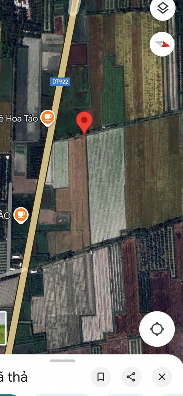 Đất lúa Định Môn 4000m² giá 1.6 tỷ - Đầu tư sinh lời cao!