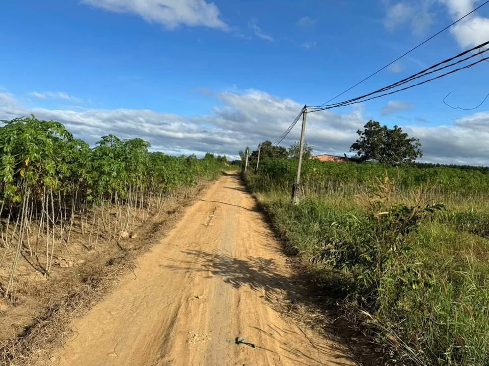 Đất nông nghiệp Vinh Quang, Kon Tum 1,375m² - Đầu tư sinh lời ngay!