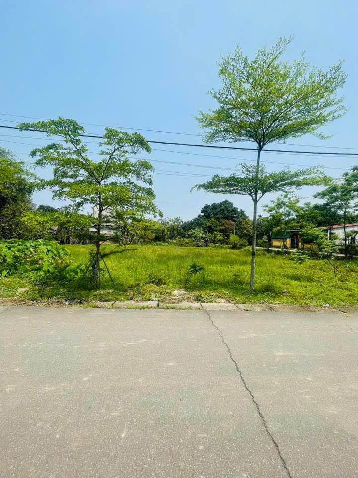 Đất Thạch Hạ 108m² giá 1 tỷ - Mặt tiền đường Quang Trung, gần chợ và trường học!