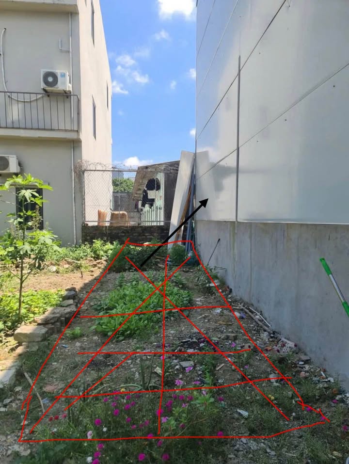 Đất Tứ Minh Hải Dương 42m² giá 1 tỷ - Cơ hội đầu tư tiềm năng!