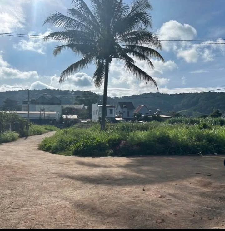 Đất Hiệp Thạnh, Đức Trọng 86m² giá 1.4 tỷ - Hẻm xe tải, thương lượng