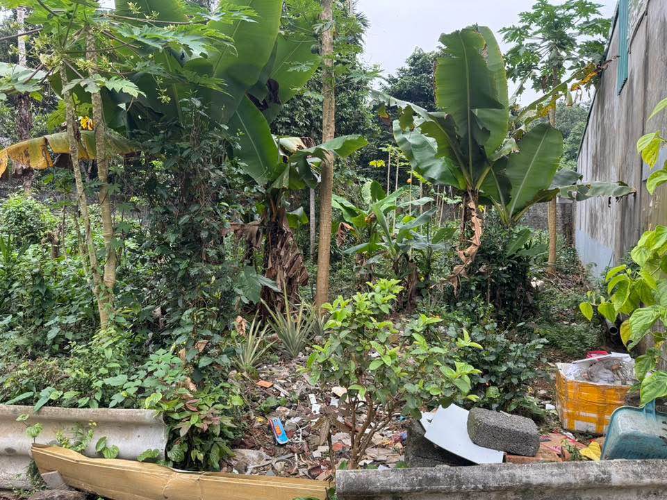 Đất Tân Hòa, Hòa Bình 105m² giá 1.3 tỷ - Tiềm năng tăng giá cao!