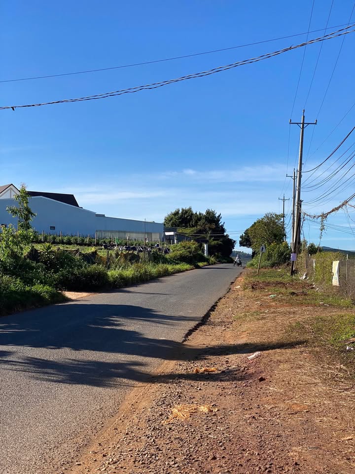 Đất nền 1121m² tại Hiệp Thạnh, Đức Trọng - Giá chỉ 2.6 tỷ, đầu tư sinh lời!