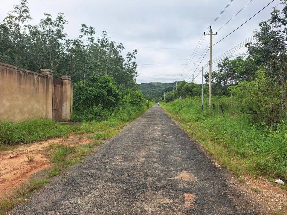 Đất thổ cư Hòa Bình Kon Tum 2220m² - Đường nhựa rộng, vị trí lý tưởng cho khu nghỉ dưỡng