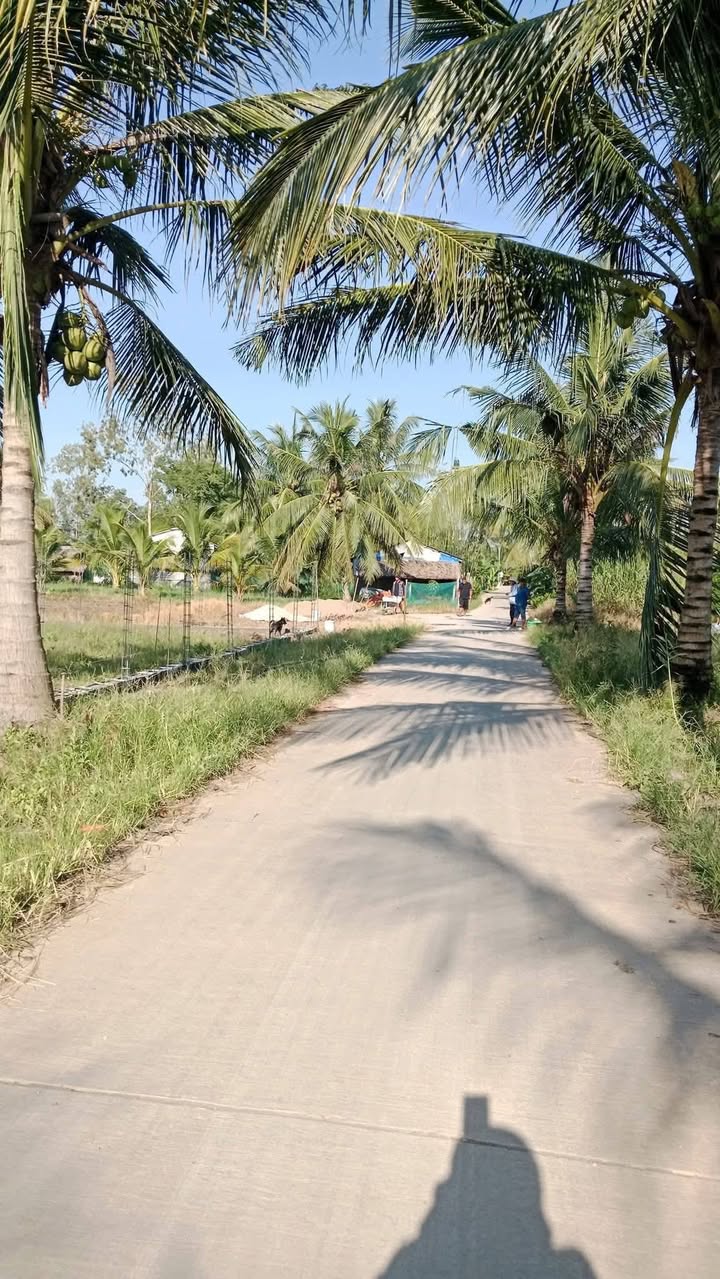 Đất nền Tài Văn, Trần Đề 350m² giá 390 triệu - Đường ô tô vào tận nơi!