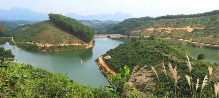 Đất rừng sản xuất 10ha bám hồ tại An Bình, Lạc Thủy - Giá cực tốt chỉ 6 tỷ!