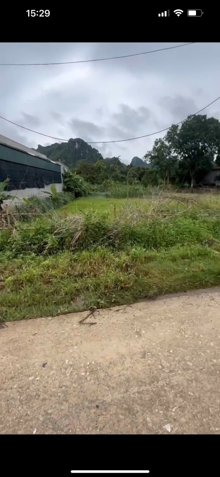 Đất Nền Gia Lâm Nho Quan 100m² - Sổ hồng chính chủ, thổ cư 100%