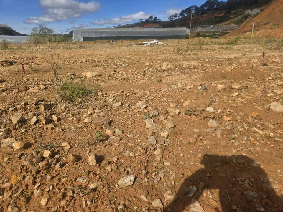 Lô đất 111m² tại Phường Lang Biang, Đà Lạt - Giá chỉ 750 triệu, đầu tư sinh lời cao!