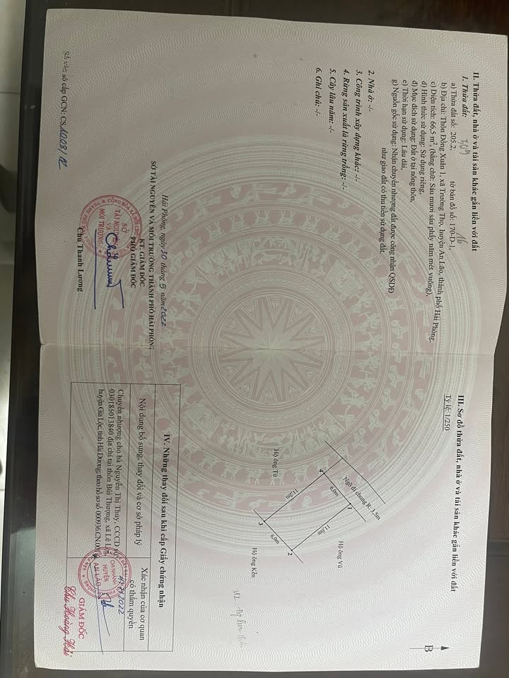 Đất nền Trường Thọ An Lão 66m² giá thỏa thuận - Đầu tư lý tưởng gần KCN Tràng Duệ!