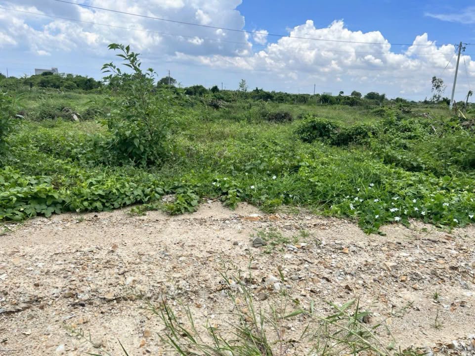 Đất nền Ninh Thuận, Hàm Chính 1100m² giá 480 triệu - Đường ô tô vào tận nơi!