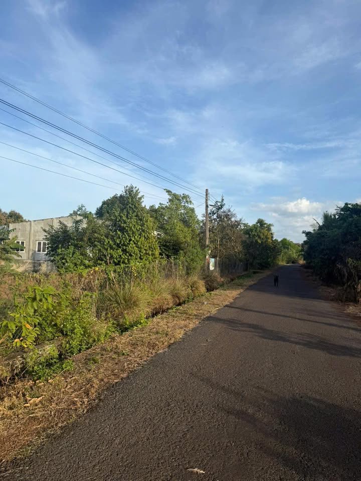 Đất nền Lộc Điền 225m² giá chỉ 205 triệu - Sổ đỏ chính chủ, pháp lý rõ ràng!