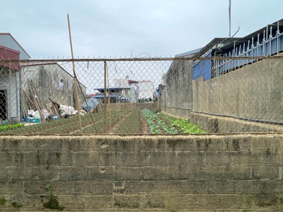 Lô đất Thái Nguyên 99,4m² giá 1,4 tỷ - Mặt tiền 5m, vuông vắn