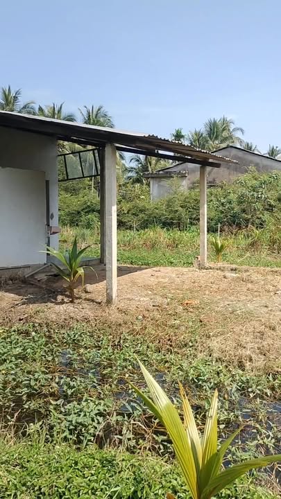 Đất nền Ấp Đồng, phường Trung An 1120m² giá 1.39 tỷ - Đầu tư lý tưởng!