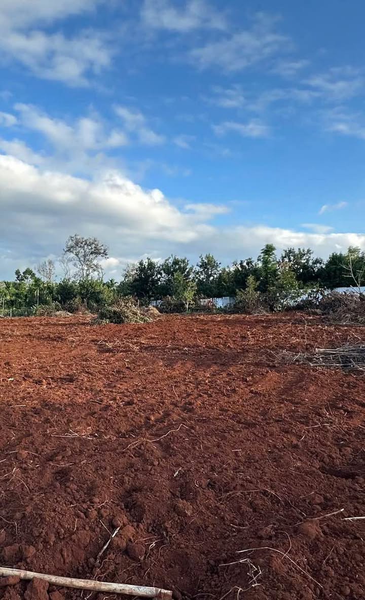 Đất nền Buôn Ju, Tân An 2500m² giá 3.125 tỷ - Đầu tư sinh lời tiện lợi!