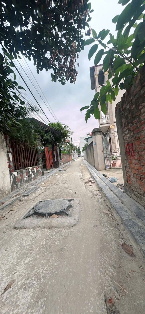 Đất thổ cư Nguyên Khê 65m² giá 4 tỷ - Đầy đủ tiện ích xung quanh!