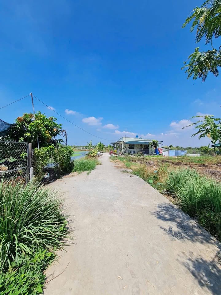 Đất nhà vườn Vĩnh Thông, Rạch Giá 360m² giá chỉ 699 triệu - Cơ hội đầu tư tuyệt vời!