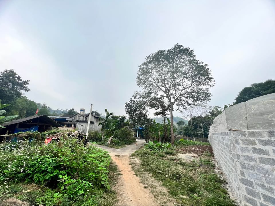 Đất ở Phấn Mễ, Phú Lương 200m² giá chỉ 100 triệu - Đầu tư sinh lời cao!