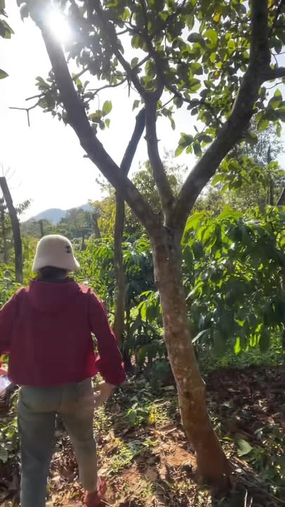 Đất rẫy 1080m² tại Quốc lộ 14, Ea H'leo giá 840 triệu - Đầu tư sinh lời cao!