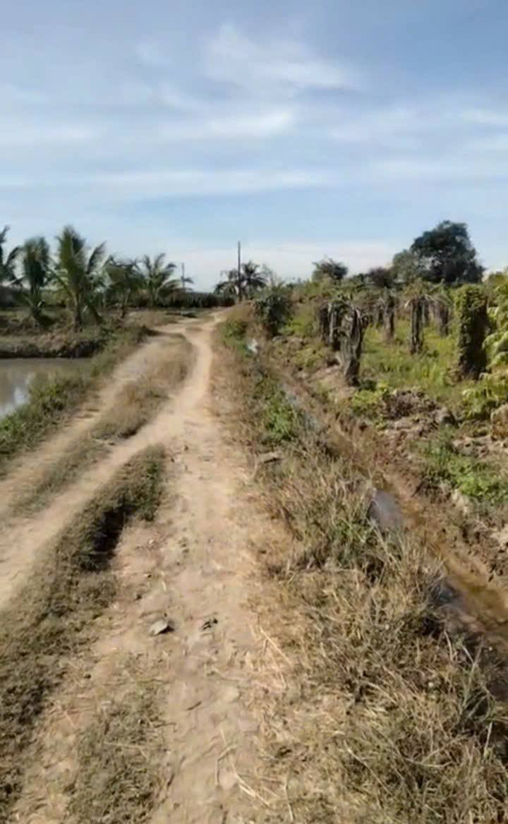 Đất thổ cư 5 sào thôn 2 Hàm Liêm giá 995 triệu - Mặt tiền đường ô tô thuận tiện!